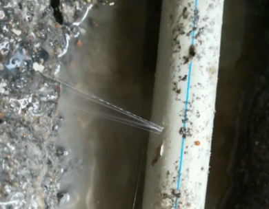 麻山测漏水哪家好