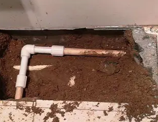 麻山测漏水哪家好